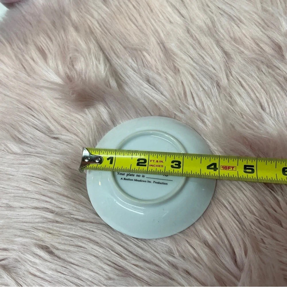 2  small sports collector plates - Picture 6 of 12